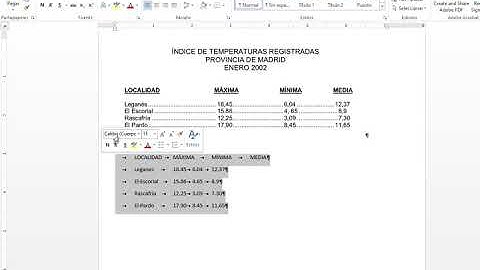 Tabulaciones con relleno y alineación en Word