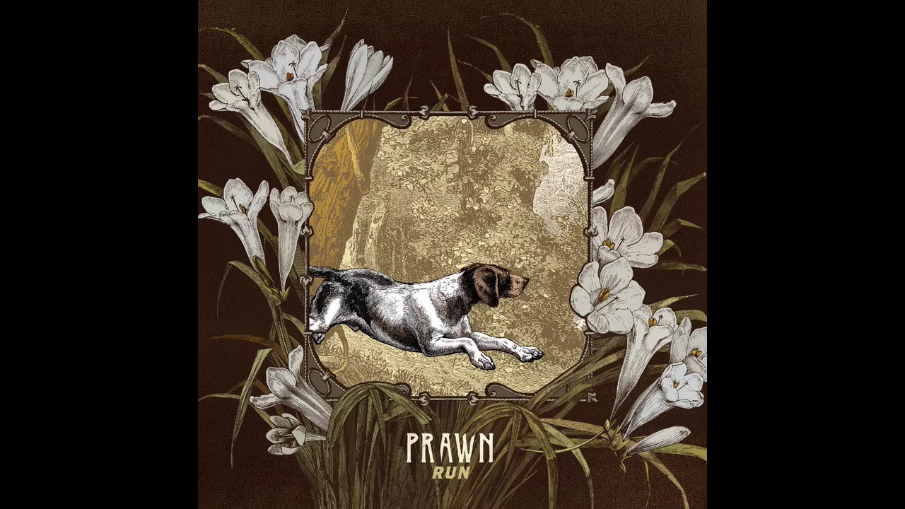 Guarda Prawn - Hunter su YouTube Guarda Prawn - Hunter su YouTube