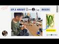 Episode 3: Bassoon Reeds Explained: Why They Matter &amp; How They’re Made