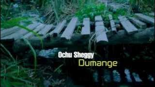 Ochu Sheggy   Dumange  official video