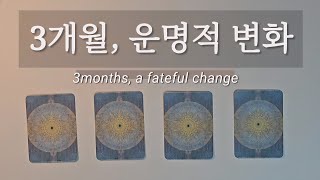 [타로]3개월, 운명적 변화#tarot #tarotreading #타로#사주#마음