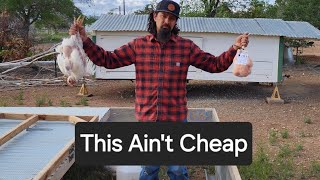 Offsetting the Cost to Homestead  4 Week Meat Bird Update