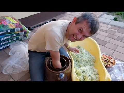 Video: Ako Nakladať Kapustu