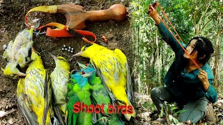 สาวดอย ยิงนกได้อย่างแม่นยำมากฯ Hunting birds with precision by pajzoo xyooj Channel 14,028 views 2 weeks ago 16 minutes