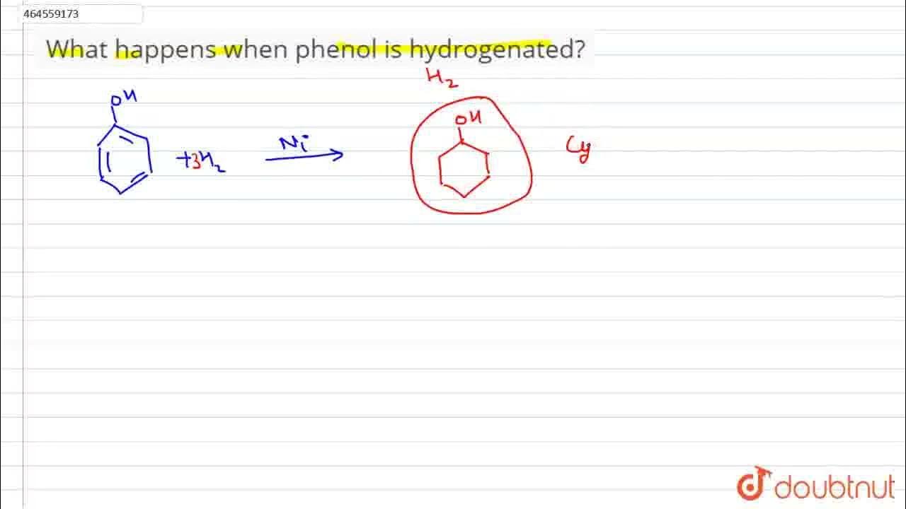 What happens when phenol is hydrogenated ? CLASS 12 ALCOHOLS