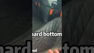 Turn the ride into a wagging tail adventure.🐶🚗🥰💕#dog #pets #carmat #petsupplies #petcare