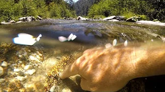 I Read the River and Find a GOLD DEPOSIT!!