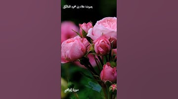 من سورة إبراهيم بصوت علاء بن محمود المالكي