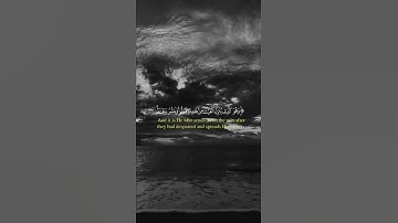 سورة الشورى الآية ﴿28﴾ | ياسر الدوسري