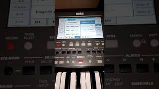 Korg Pa 600 Kimsesiz Kulum