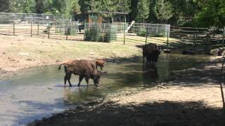 Farmington Trail, Farmington UT.  Entertainment and Real Estate Guide by Team Reece.  Utah Realtors
