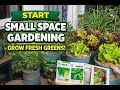 Start Small Space Gardening – Grow Fresh Greens