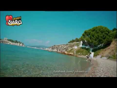 الحب زي الوتر