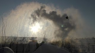 Эффект Мпембы и зимняя подкормка птиц.The Mpemba effect and winter feeding of birds.