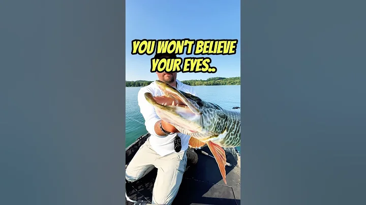The Prettiest Fish in the WORLD!!! 😳😳😳 (MONSTER TIGER MUSKY) #fishing #shorts #outdoors