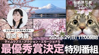 ウェザーニュースの配信のサムネイル画像
