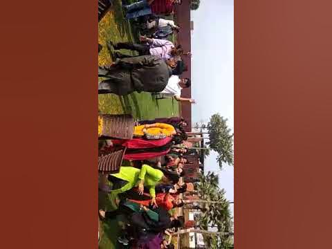holi dhamal vedio pajamal k