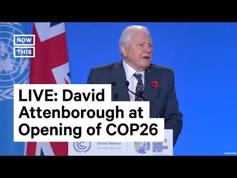 Sir David Attenborough Addresses World Leaders at COP26 | LIVE