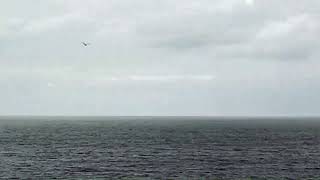 Таганрогский залив  Азовского моря