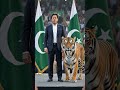 #ImranKhan #Tiger #AIVideo #AIShorts #ImranKhanFans #Leadership #Power #Courage #Pakistan #Trending