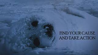 Look for Me Under the Rainbow Book Trailer & Call to Action