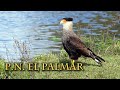 Parque Nacional El Palmar, Entre Ríos, Argentina
