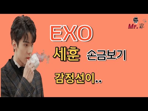 EXO 세훈의 손금을 읽어보자! 오 감정선이..