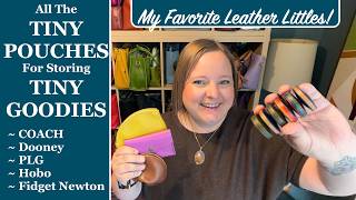 My Favorite Leather Littles to Store Treasures | PLG, Coach, Hobo, Dooney & Bourke, Fidget Newton
