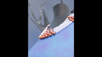 Blender Necklace Visualization || Blender 3d