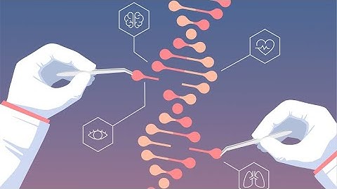 Gene Knockout using CRISPR