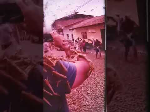 سبحان الله الاف الجراد هجم علي قرية في البرازيل