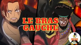 Qui est le bras gauche de Luffy ?