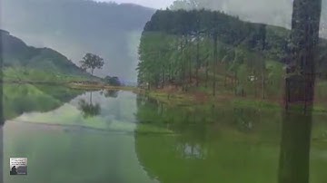 محمد رشاد الشريف   سورة القيامة 75   مصطفى غريب