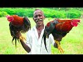 VILLAGE FAMOUS RED COUNTRY CHICKEN CURRY | Delicious Traditional Chicken gravy | Village Grandpa