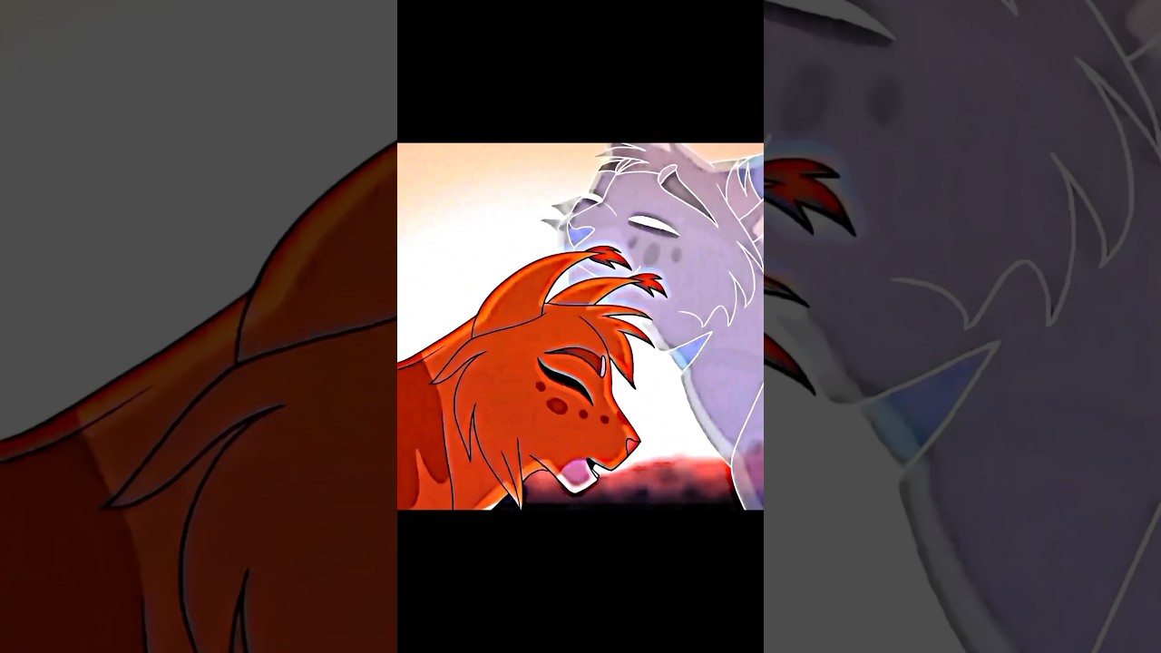 Минус качество 😩 || #уголек #белка #эдит #кв #коты #воители #рекомендации #shorts #warriorcats #wc