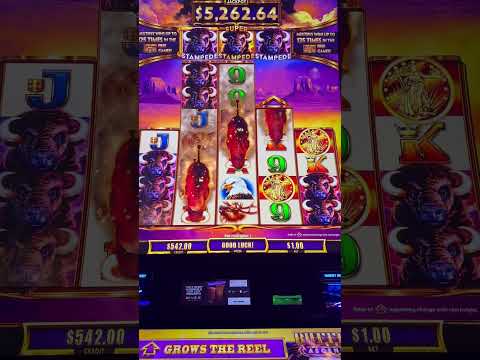 Link king a 6 euros,continuamos después del mega,tragaperras españolas