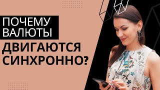 Почему графики валют похожи один на другой? Доллар, китайский юань, евро и остальные...