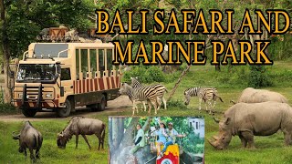 BALI SAFARI UNBELIVABLE EXPERIENCE BALI SAFARI AND MARINE PARK I FEED THE PREDATOR II SAFARI JOURNEY