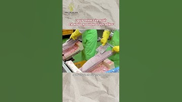 Sản xuất cá ngừ đại dương #tomtatnhanh #reviewnhanh #quytrinhsanxuat #khampha #kienthuc #food