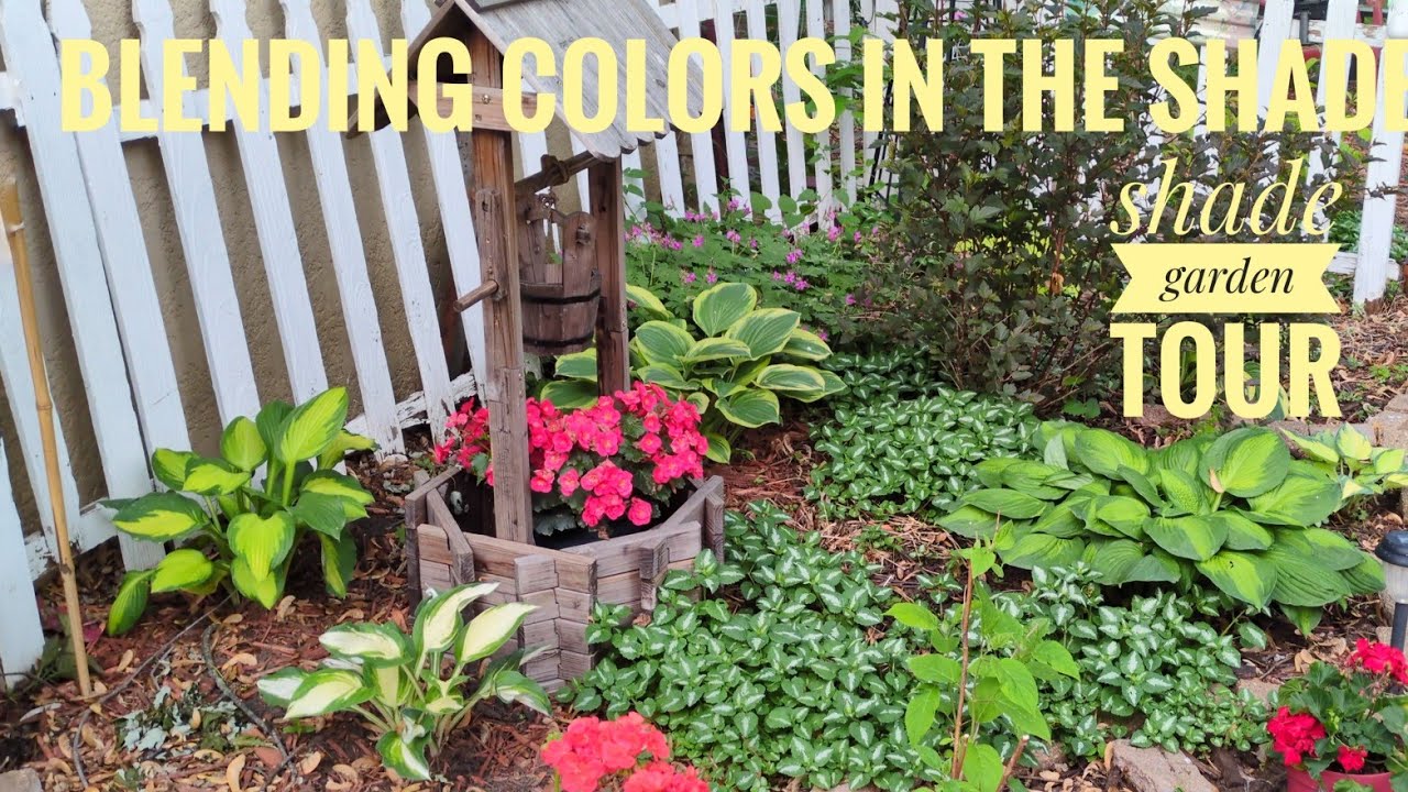 Growing in the shade,June woodland rustic shade garden tour.