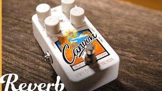 Electro-Harmonix Canyon Delay Looper | Reverb Demo Video