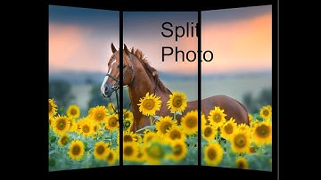 How to split a photo into 3 in Microsoft PowerPoint