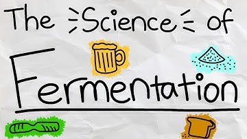 What is Fermentation and How Does it Work?