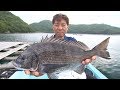 【釣り百景】#247 チヌに捧げる釣り人生　三重県南部で落し込み＆カセ釣り
