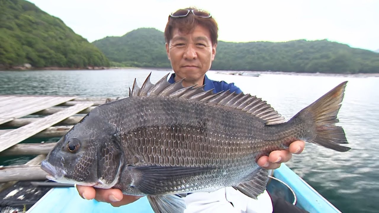 【釣り百景】#247 チヌに捧げる釣り人生　三重県南部で落し込み＆カセ釣り