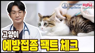 고양이 예방접종 가이드라인. 고양이 예방접종 궁금증 7가지.