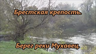 Брестская крепость.  Берег реки Мухавец