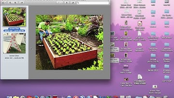 Mac - printing multiple images to a page