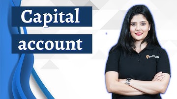 Capital Account | Meaning, Components, Surplus, Deficit Explained | BOP | Ecoholics