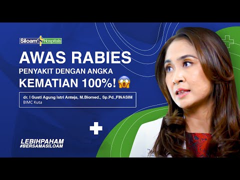 Video: Paging Dr. Dog: Bagaimana Terapi Anjing Membantu Kesehatan Manusia